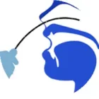 آندوسکوپیک سینوس