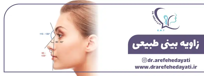 زاویه طبیعی بینی