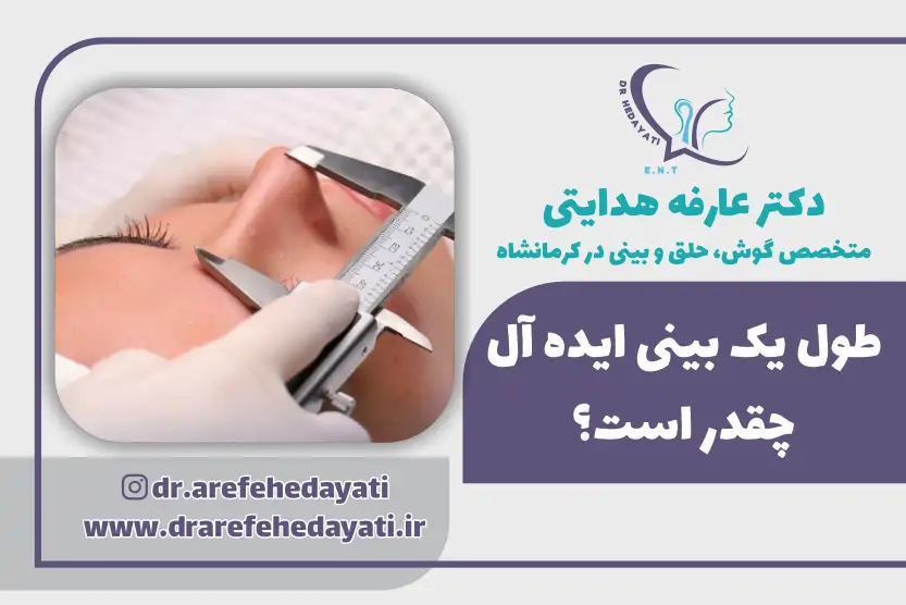 طول بینی استاندارد چقدر است؟